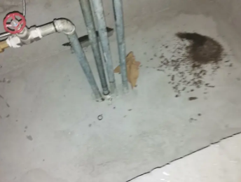 绛县卫生间测漏水价格明细